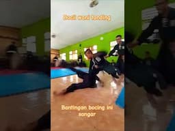 bocil sambung bantingan keras #pencaksilat #psht #shorts #shortvideo #tandingsilat #sambungpsht