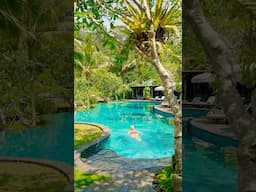 5⭐️ resort in the middle of the JUNGLE  #luxuryhotel #hotel #vacation #ritzcarlton