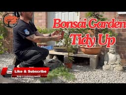 Bonsai Garden Tidy Up (2024)