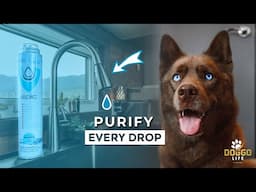 AFFORDABLE Water Purifier - Filter EVERY DROP 💧 from your faucet