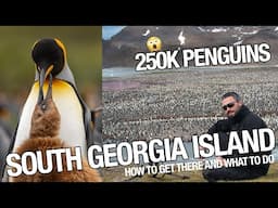 South Georgia Island Webinar - Everything you need to know about getting there