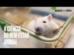 Testes em animais: o que mudou? #ciencia #science #mice #laboratory