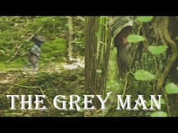 Finding a small Grey Man in the woods