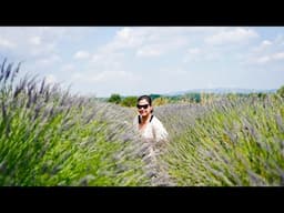 LIVE on Lavender Fields!