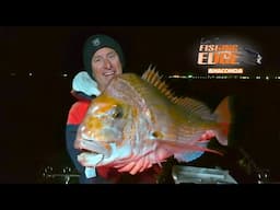 Chasing Big Snapper - The Hunt From Day To Night