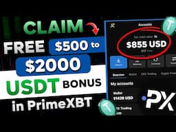 🛑 Get Free $500 to $2000+ USDT Bonus in PrimeXBT | How to Claim & Use? | Bitcoin PUMP Today