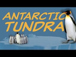 Explore the ANTARCTIC TUNDRA Biome 🐧 Nature Ecology & Environment