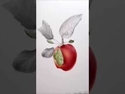 Red apple painting process #arttutorial #watercolorpainting #art #painting #watercolor