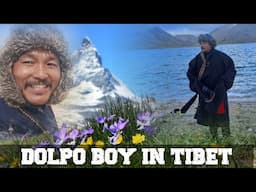 Dolpo Boy in Tibet | Part 6 | Journey #tibet #dolpo #tour #advanture #nepal #urbgd #natural #culture