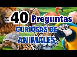 ¿Crees que Sabes Todo de los Animales? Este Trivia te Va a Poner a Prueba