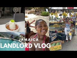 life as a landlord in Jamaica | property organising, cooking with friends and wholesome evening