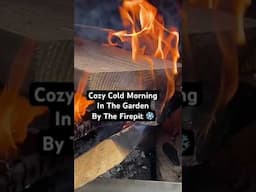 Shorts #shorts #cozy #fireplace #firepit #garden #november #nature #relax #relaxing #youtubeshorts