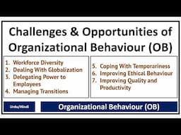 Challenges & Opportunities of Organizational Behaviour (OB)