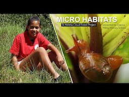 Micro Habitats of the Peaks National Park by a Pilling Primary School Pupil