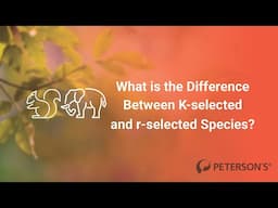 In About a Minute: What is the Difference Between K-selected and r-selected Species?