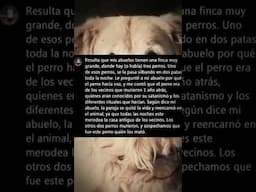 CASOS DE ANIMALES ACTUANDO COMO HUMANOS Parte 44 #creepy #historias #horrorstories #creepypasta