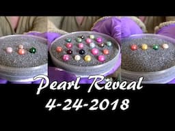 Pearl Reveal 4-24! QUADS Galore, WOW! 28 Beautiful Pearls Opened for Maddie's Live Pearl Party