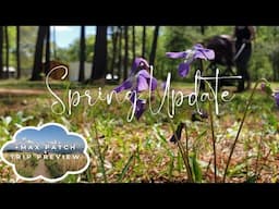 It's Been A While | Spring Update 2024