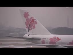 [4 : 3] [1999 Itami (伊丹)] JAL Boeing 747-300《JL743 JA8186 ITM990224》