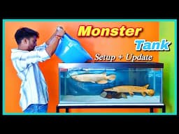 🤩 Monster Fish Tank Setup with Monster Fish Update 🤩