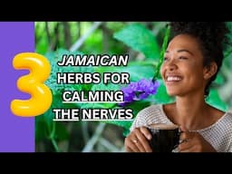 3 JAMAICAN HERBS for CALMING THE NERVES / Earth's Medicine