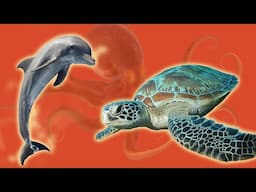 Animals of the Marine Biome 🐠 Whale, Shark, Dolphin, Sea Turtle, Jellyfish...