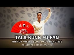 Tai Chi Fan | Taiji Kung Fu Fan |  Mirror View | Slow Pace Practice