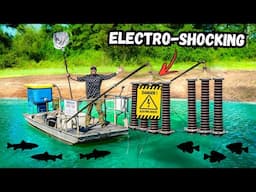 ELECTRO-SHOCKING My Backyard Pond w/ *HIGH VOLTAGE* ( catch clean cook )