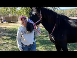 FARRIER DAY with Rueben and BOAZ!