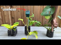 exposing the worst advice for your plants