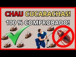 Como Eliminar las Cucarachas para Siempre!,Comprobado!