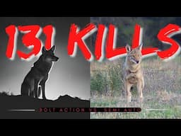 131 Coyote Kills