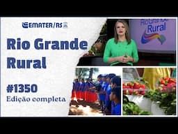 Rio Grande Rural 1350 - (17/11/2024)