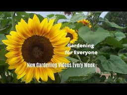 Evaluating Your Garden Season (Q&A)