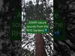 ASMR nature sounds from the RHS Gardens #asmrsounds #asmrvideo #rhs