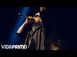 DON OMAR feat DADDY YANKEE / YANDEL -  MAYOR QUE YO @ HECHO EN PUERTO RICO