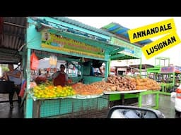 ANNANDALE / LUSIGNAN