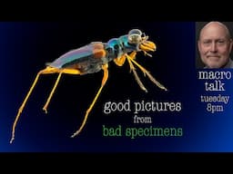 Good Pictures of Bad Specimens  - Macro Talk #116 -  AWPhotography 10/29/24