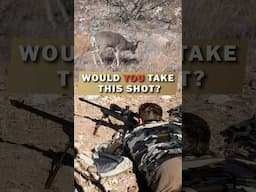 Would YOU Take This Shot!? Deer Headshot 💥