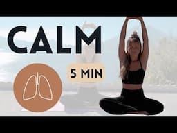 6 min Butterfly Coherence Breathwork Practice