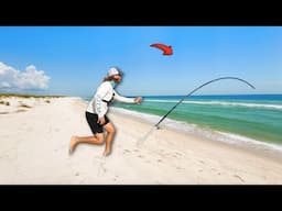 Tossing Cut Bait from the BEACH for GIANTS!