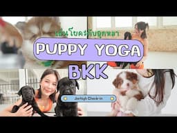 Puppy Yoga Bkk 🐶 โยคะกับน้องหมา l Jerhigh Check in