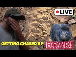 Hunting for FERAL PEOPLE and got chased by BOARS!