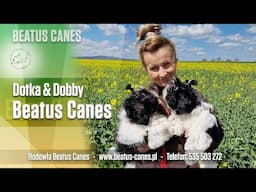 Dotka & Dobby Beatus Canes