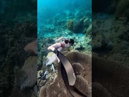 Freediving in Carabao Island, Romblon.