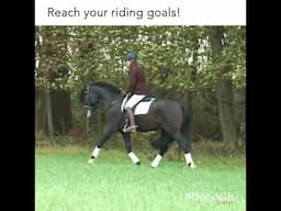 Dressage Today OnDemand - Dressage Training at Your Fingertips!