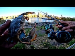 East River Fishing. Blue Crab Bait Blackfish NYC