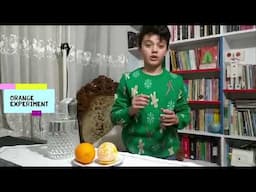 Orange Experiment I  Porakal Deneyi #Rezanyeşilmen