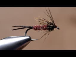 Isonychia Soft Hackle