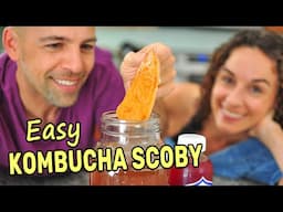 Making a Kombucha Scoby from Scratch (SPOILER: It's super easy!)